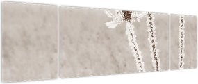 Obraz - Oset w zimie (170x50 cm)