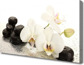 Duży obraz na płótnie Równowaga Natury: Kwiat i Kamień