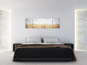 Obraz ziarna (170x50 cm)