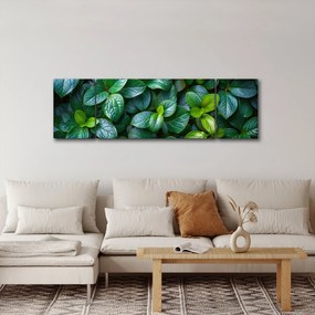 Obraz - Rośliny zielone (170x50 cm)