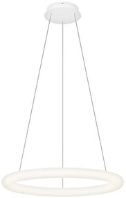 Top Light -LED ściemnialny żyrandol na lince RINGO LED/40W/230V 3000-6500K biały+pilot