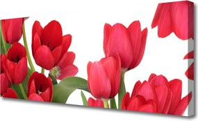 Obraz canvas Świeże Tulipany w Rozkwicie