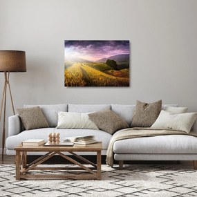 Obraz na szkle krajobrazu (70x50 cm)