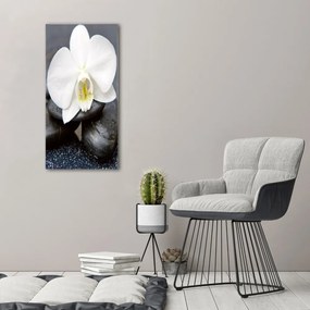Foto obraz na płótnie pionowy Orchidea i kamienie