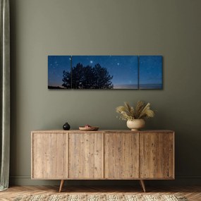 Obraz drzew w nocy (170x50 cm)