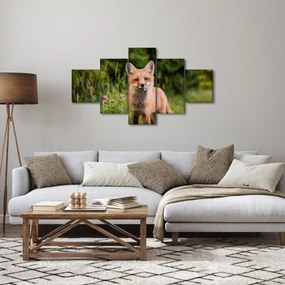 Obraz lisa (125x70 cm)