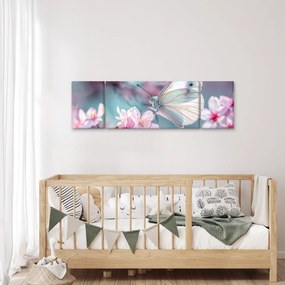 Obraz - Motyl na drzewie wiśni (170x50 cm)