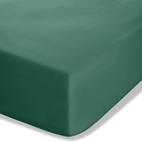 Ciemnozielone prześcieradło z perkalu z gumką 135x190 cm Easy Iron Percale – Catherine Lansfield