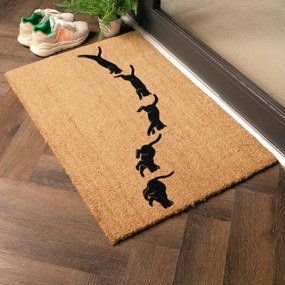 Wycieraczka z włókna kokosowego 60x90 cm Jumping Cats – Artsy Doormats