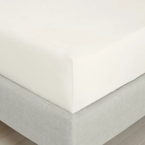Kremowe prześcieradło z perkalu bawełnianego z gumką 90x190 cm Cotton Percale – Bianca