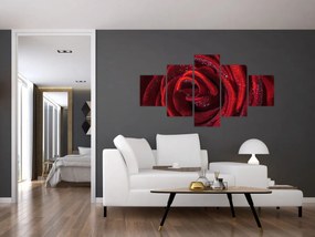 Obraz - Czerwona róża z kroplami rosy (125x70 cm)