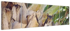 Obraz wiewiórki na drzewie (170x50 cm)