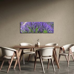 Obraz - lawenda (z zegarem) (90x30 cm)