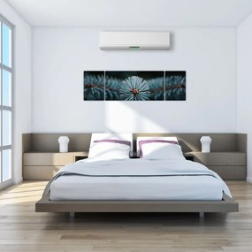 Obraz gałązki drzewa iglastego (170x50 cm)