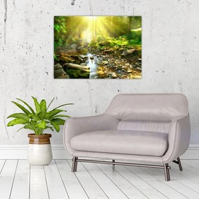 Obraz rzeki w zielonym lesie (70x50 cm)
