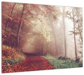 Obraz na szkle - Jesienny spacer po lesie (70x50 cm)