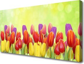 Obraz canvas Klasyczne Holenderskie Tulipany
