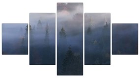 Obraz - Las we mgle, Karpaty, Ukraina (125x70 cm)