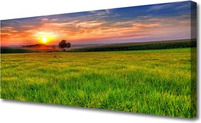 Fotoobraz na płótnie Słoneczna Polana o Poranku