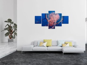 Obraz meduzy (125x70 cm)