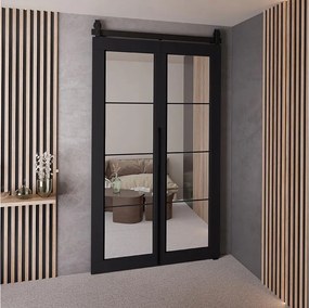 Drzwi Przesuwne QUDIO M5 Czarny 100