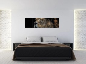 Obraz - Majestatyczny lew (170x50 cm)