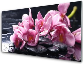 Szkło Dekoracyjne do Kuchni Egzotyczny Kwiat Orchidei