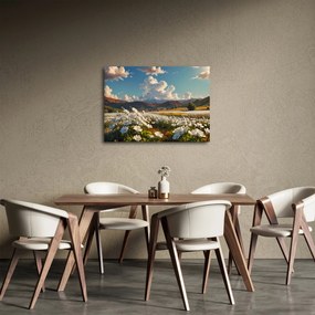 Obraz - Spokojny krajobraz (70x50 cm)