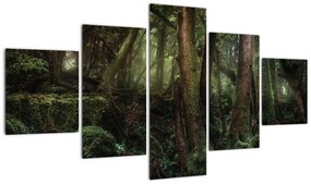 Obraz - Tajemniczy las (125x70 cm)