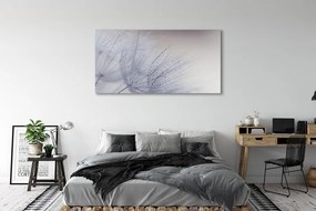 Duży obraz na płótnie Dmuchawce w Porannej Rosie