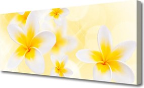 Obraz canvas Pastelowy Ogród Botaniczny