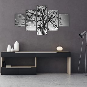Obraz - Czarno - białe drzewo (125x70 cm)