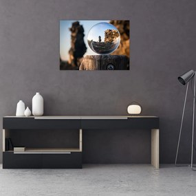 Obraz na szkle - lupa i krajobraz (70x50 cm)