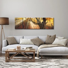 Obraz - Jesienny świt (170x50 cm)