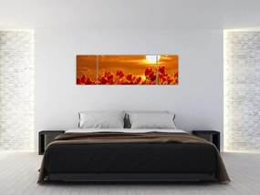 Obraz kwitnącego pola z tulipanami (170x50 cm)