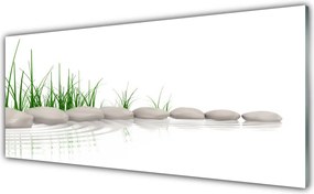 Panel Kuchenny Kamienie W Zielonej Trawie