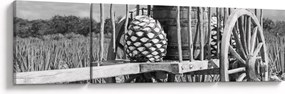 Obraz - Przyczepka, czarno - biały (170x50 cm)