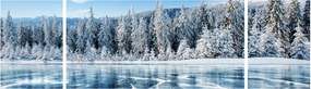 Obraz zamarzniętego jeziora i pokrytych śniegiem drzew (170x50 cm)