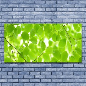 Obraz drukowany na płótnie Organiczne Formy Liści