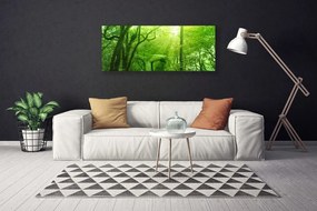 Obraz drukowany na płótnie Las w Letnim Słońcu