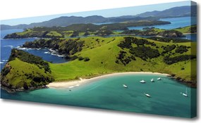 Zdjęcie na płótnie Las na Skraju Morza