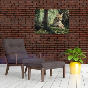 Obraz na szkle - lis (70x50 cm)