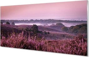 Szkło do Kuchni na Ścianę Wrzosy w Pełnym Rozkwicie