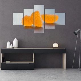 Obraz mandarynek (125x70 cm)