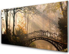 Panel Szklany do Kuchni Drewniany Mostek w Lesie
