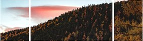 Obraz rudzików nad wzgórzem (170x50 cm)