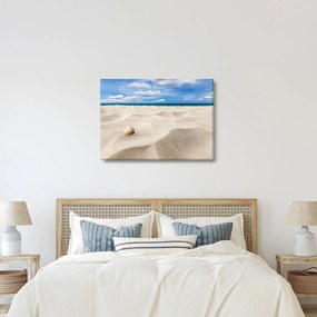 Obraz - Muszle na plaży (70x50 cm)
