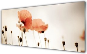 Panel nad blat kuchenny Klasyczne Czerwone Maki