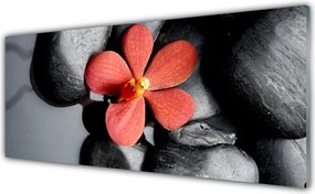 Panel Szklany do Kuchni Równowaga Zen: Kwiat I Skała