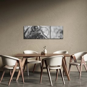 Obraz - Kot (z zegarem) (90x30 cm)